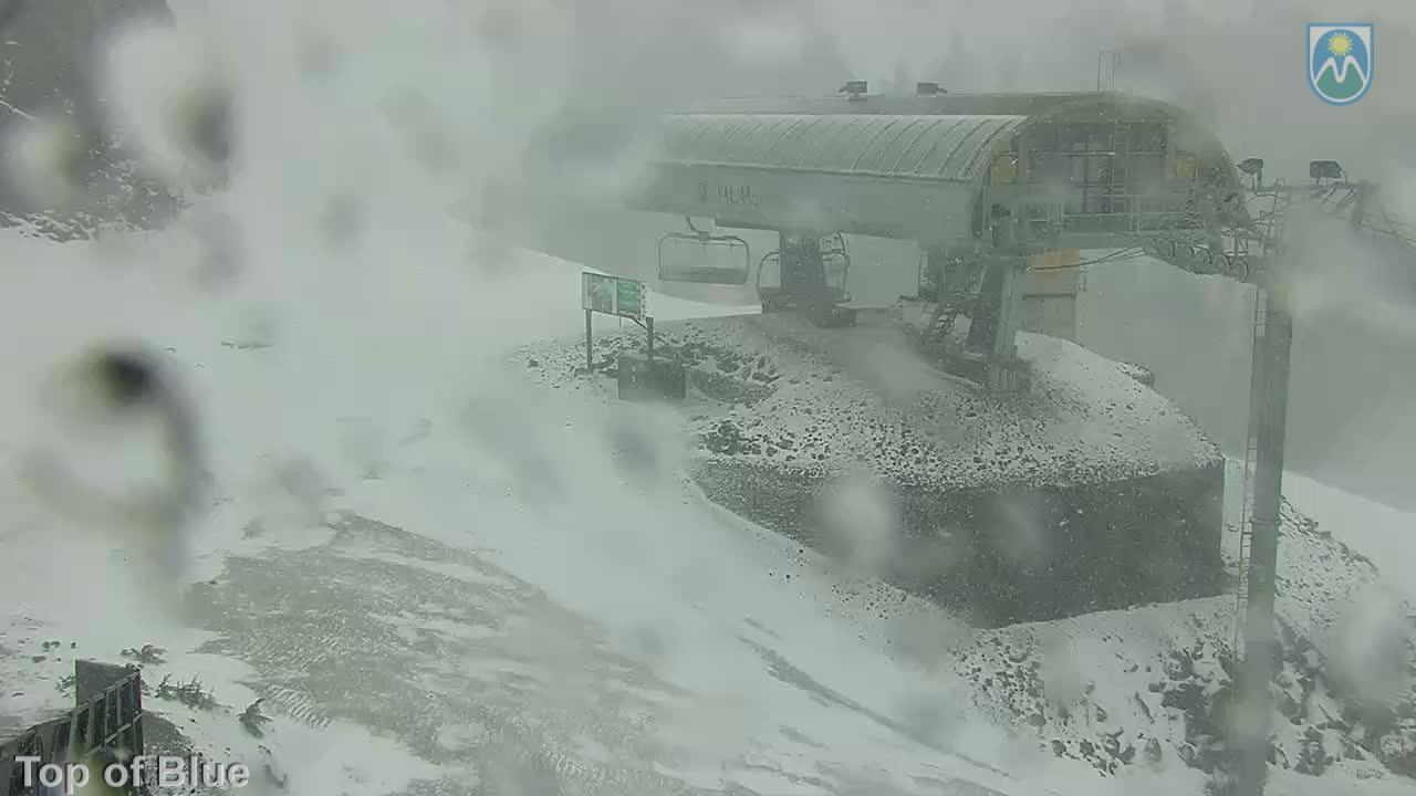 Webcam Mount Hood Meadows: Top of Blue