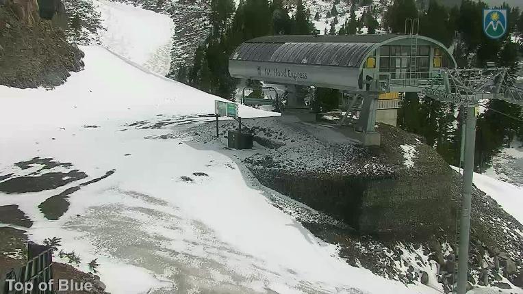 Webcam Mount Hood Meadows: Top of Blue