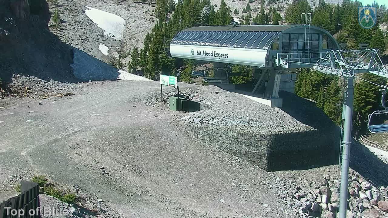 Webcam Mount Hood Meadows: Top of Blue