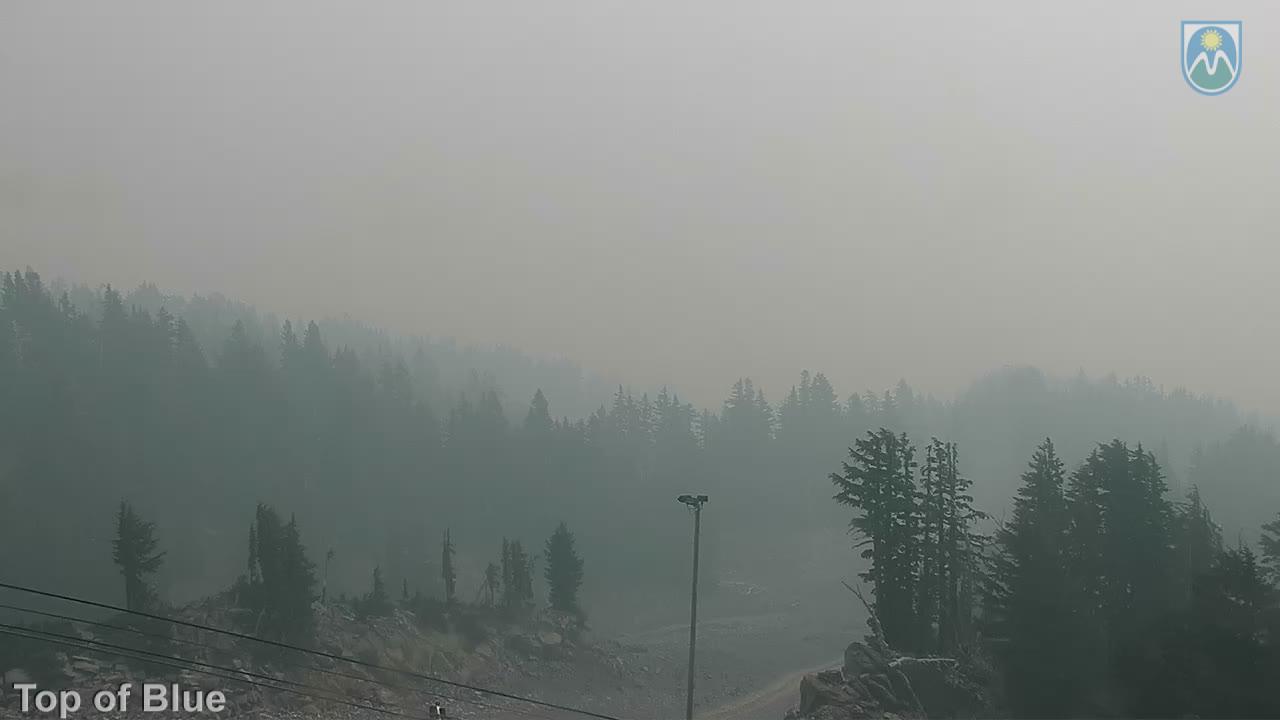 Webcam Mount Hood Meadows: Top of Blue