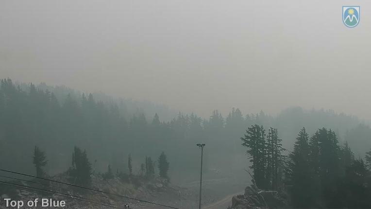 Webcam Mount Hood Meadows: Top of Blue