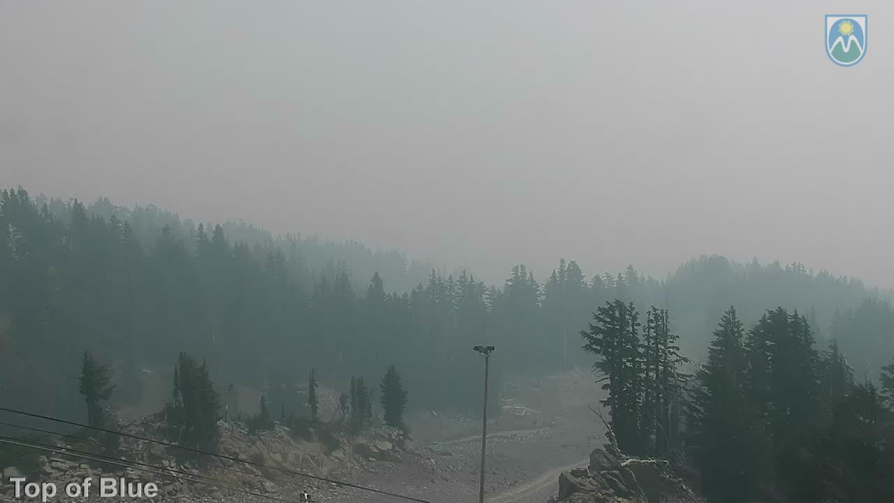 Webcam Mount Hood Meadows: Top of Blue