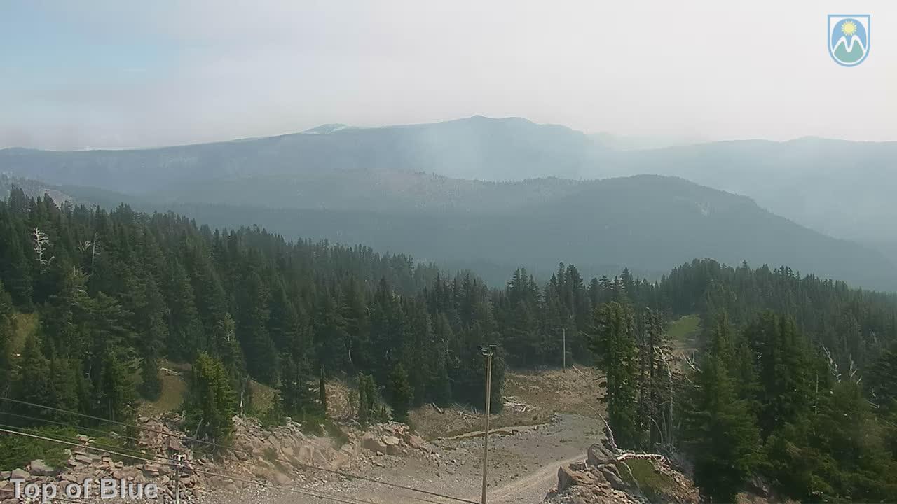 Webcam Mount Hood Meadows: Top of Blue