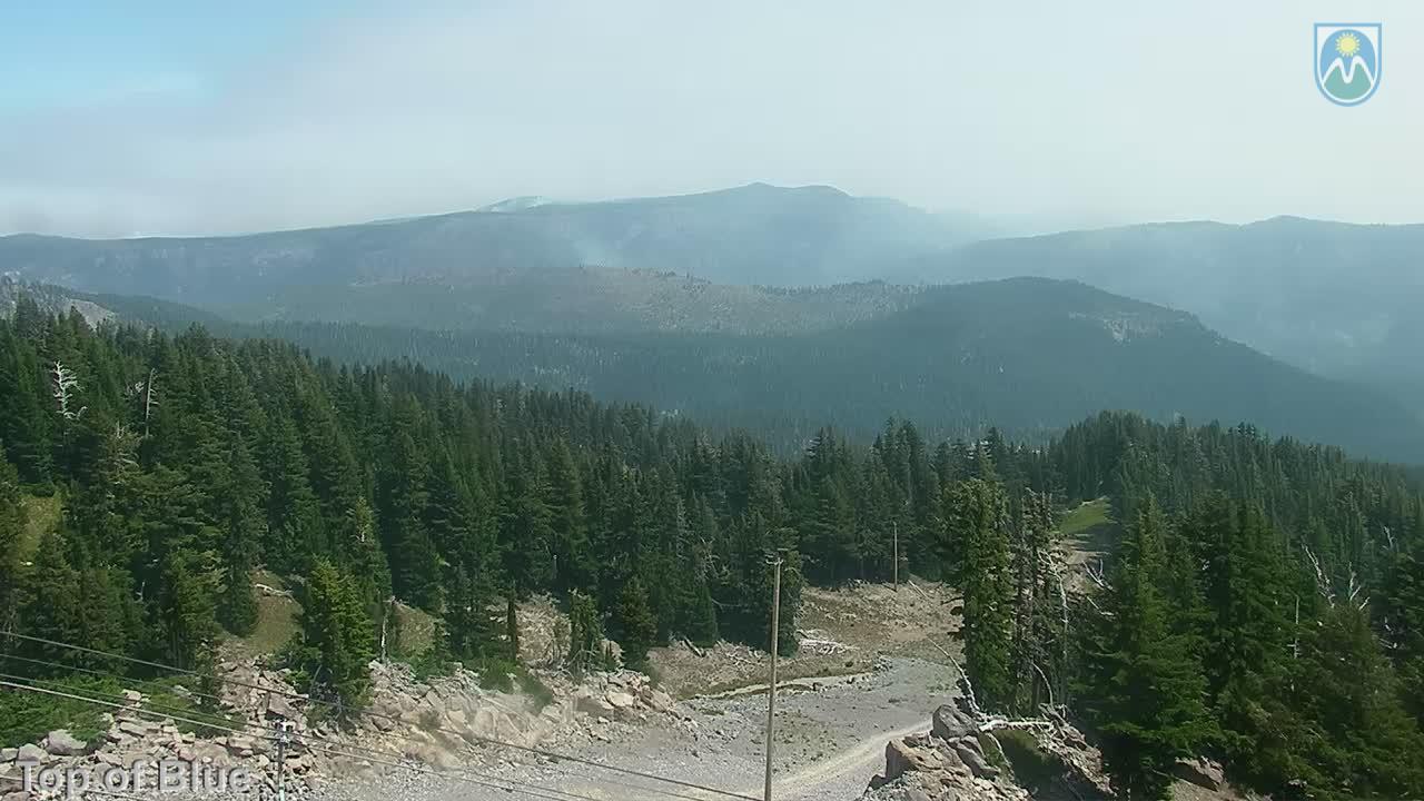 Webcam Mount Hood Meadows: Top of Blue
