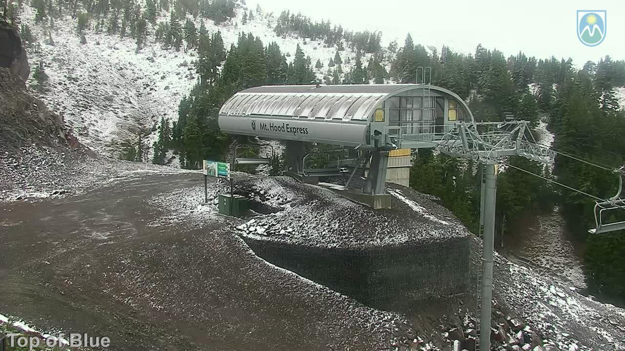 Webcam Mount Hood Meadows: Top of Blue