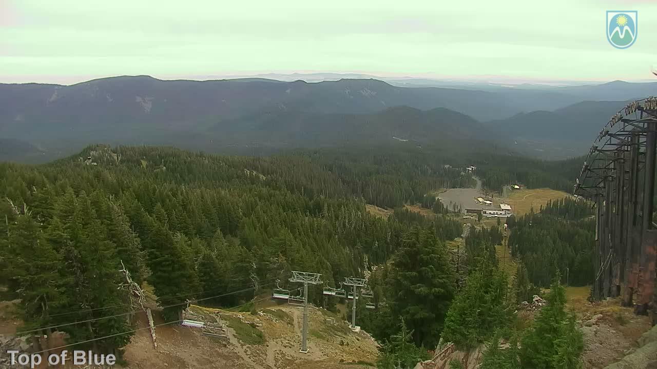 Webcam Mount Hood Meadows: Top of Blue