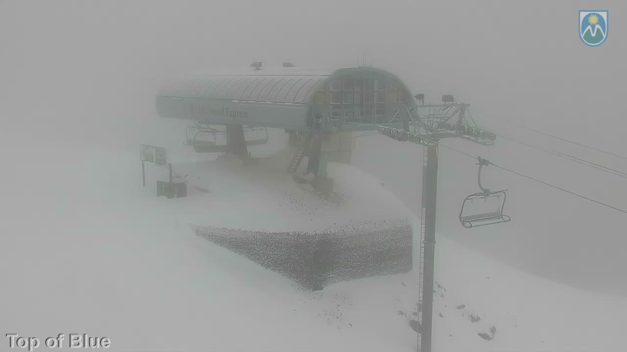Webcam Mount Hood Meadows: Top of Blue