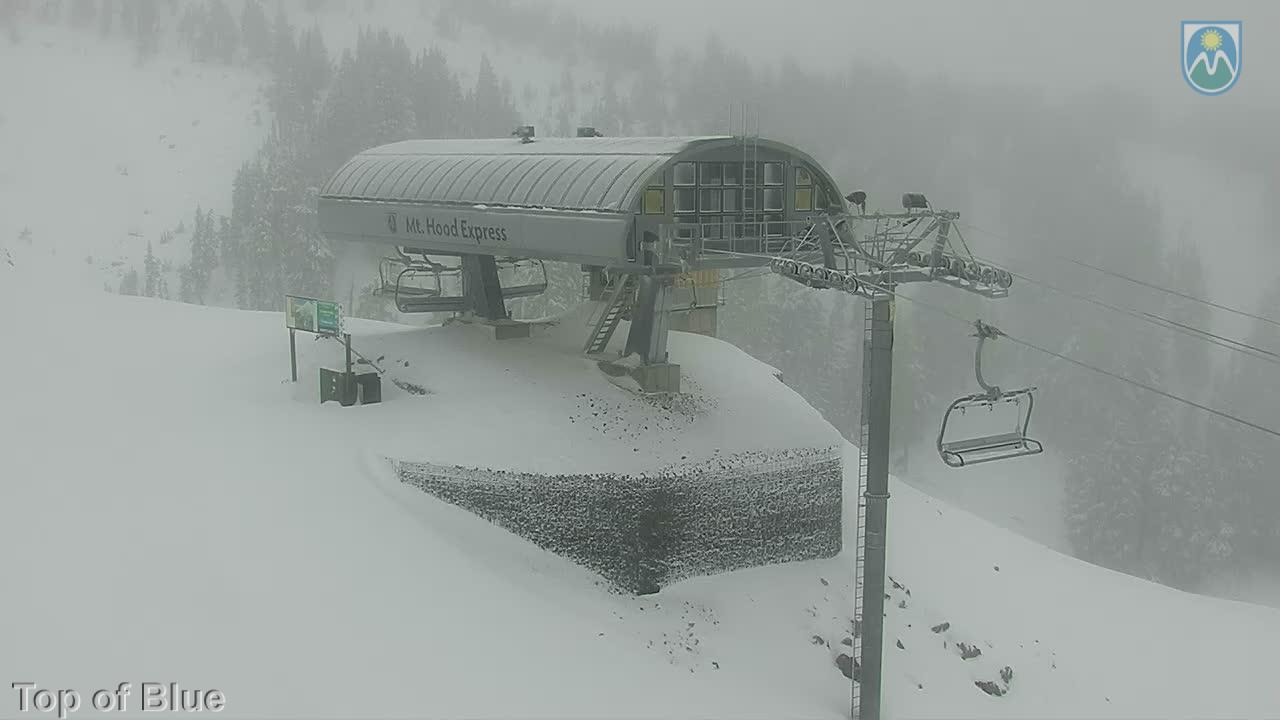 Webcam Mount Hood Meadows: Top of Blue