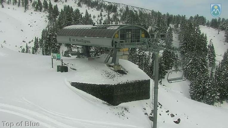 Webcam Mount Hood Meadows: Top of Blue