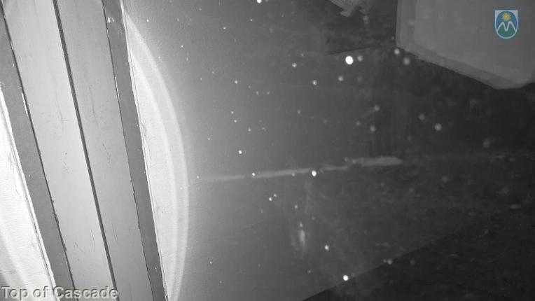 Webcam Mount Hood Meadows: Top of Cascade