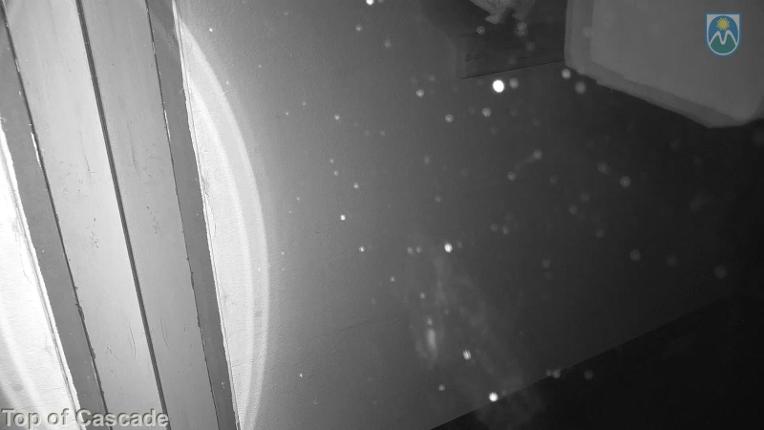 Webcam Mount Hood Meadows: Top of Cascade