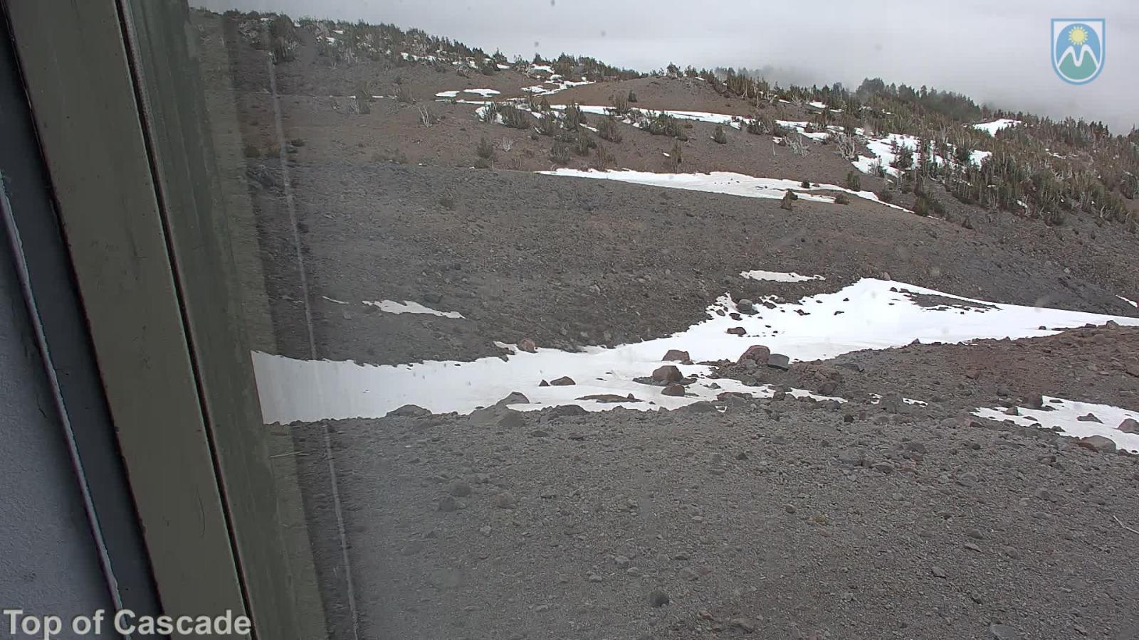 Webcam Mount Hood Meadows: Top of Cascade