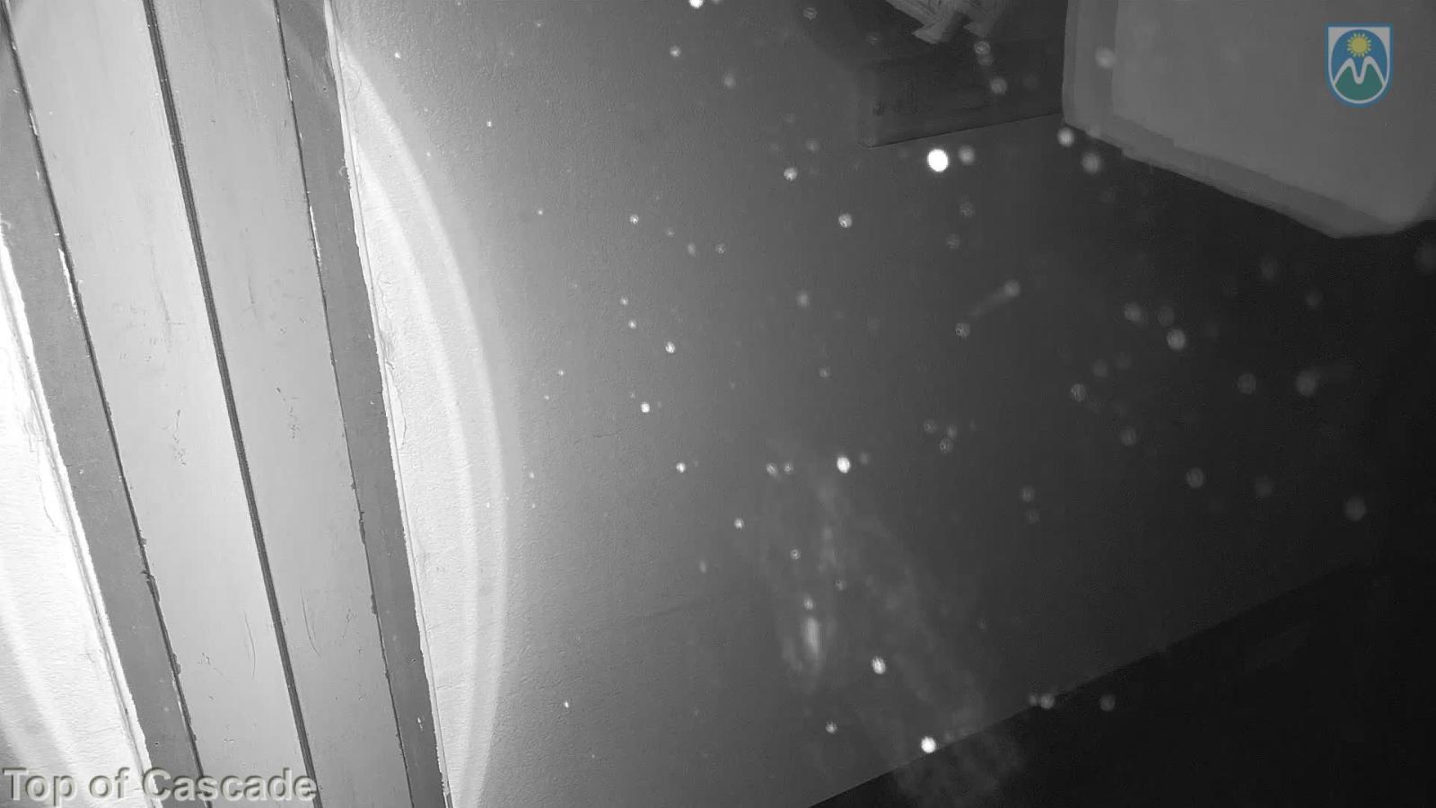 Webcam Mount Hood Meadows: Top of Cascade