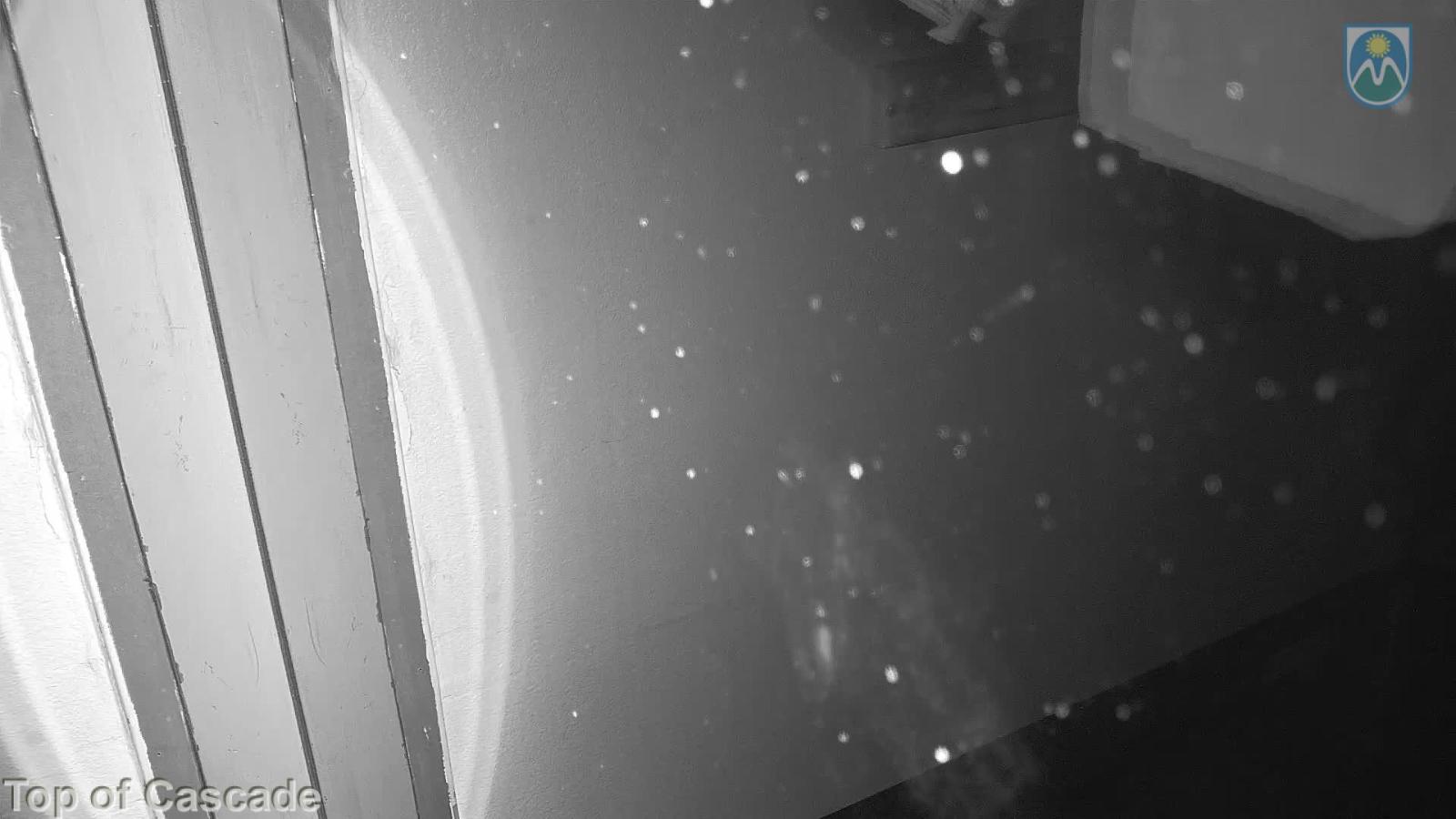 Webcam Mount Hood Meadows: Top of Cascade