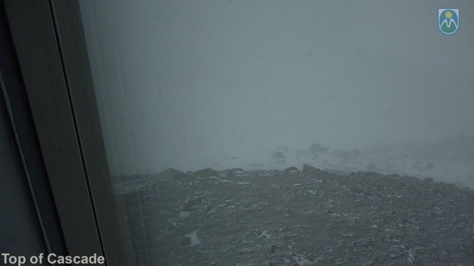 Webcam Mount Hood Meadows: Top of Cascade