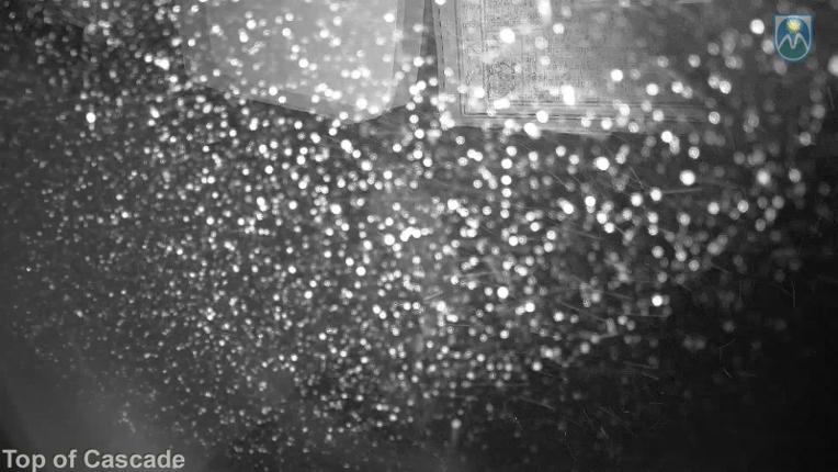 Webcam Mount Hood Meadows: Top of Cascade