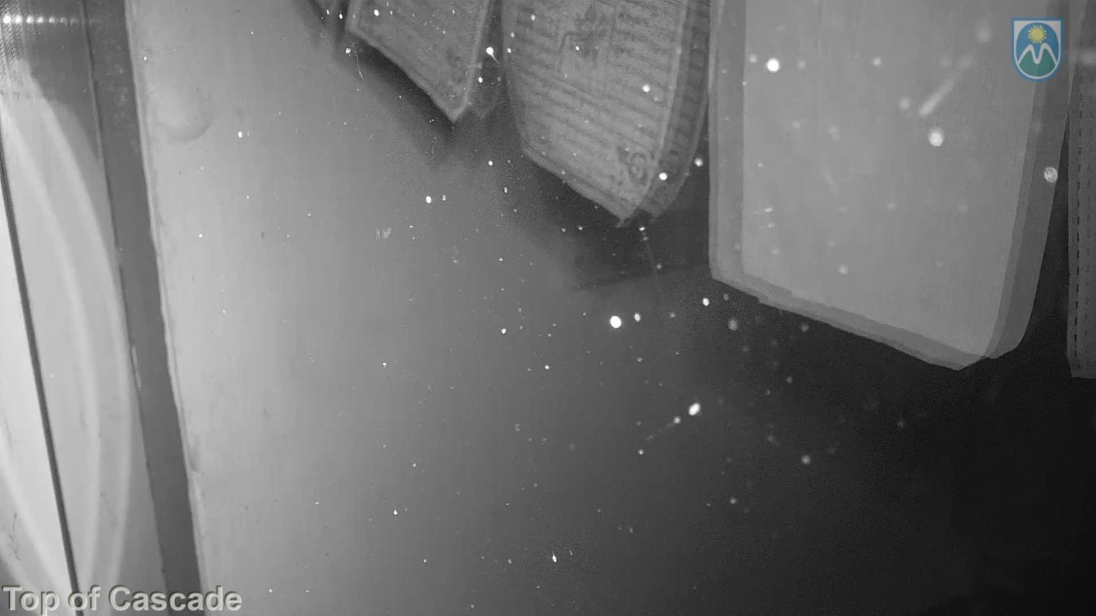 Webcam Mount Hood Meadows: Top of Cascade