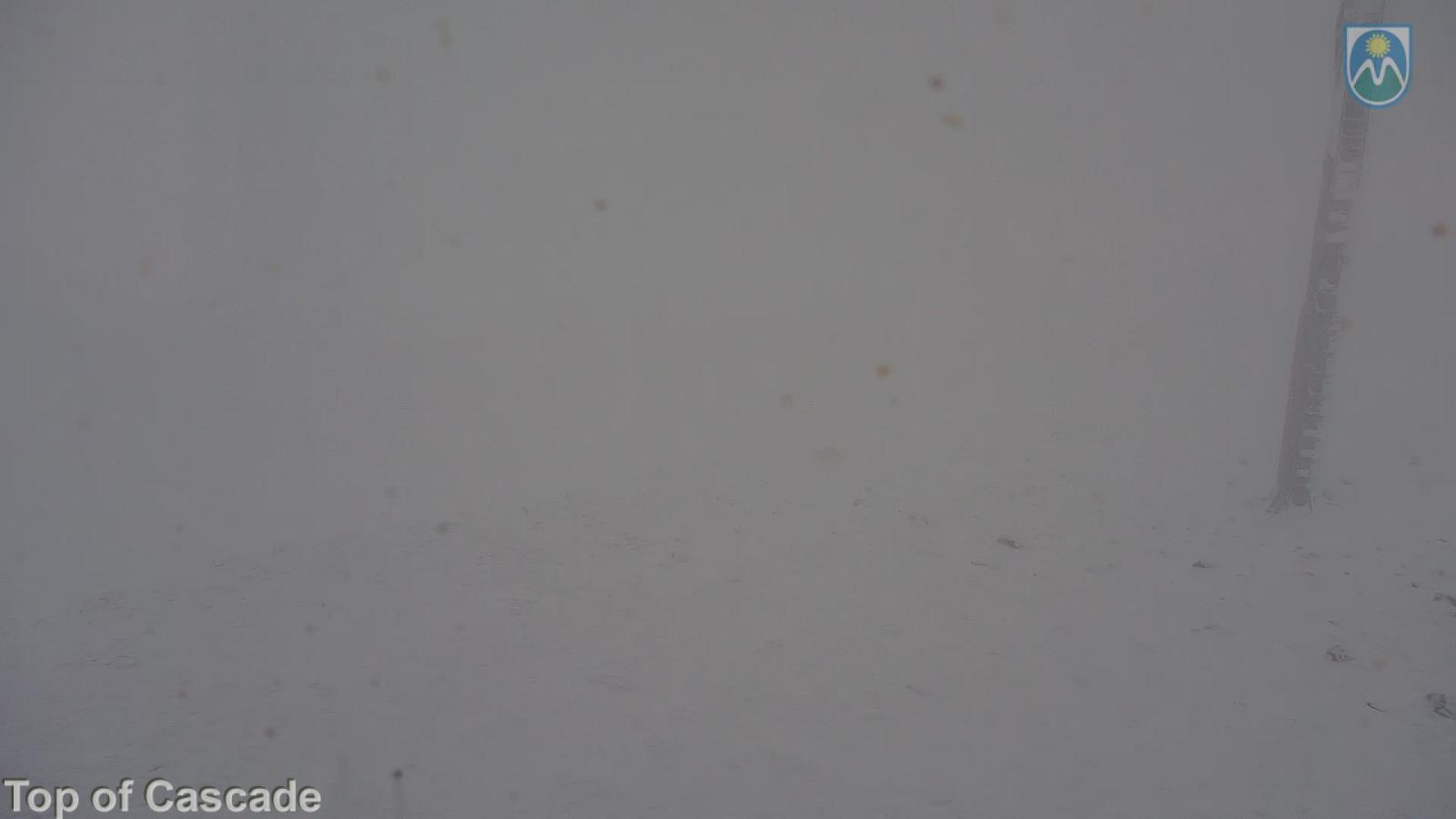 Webcam Mount Hood Meadows: Top of Cascade