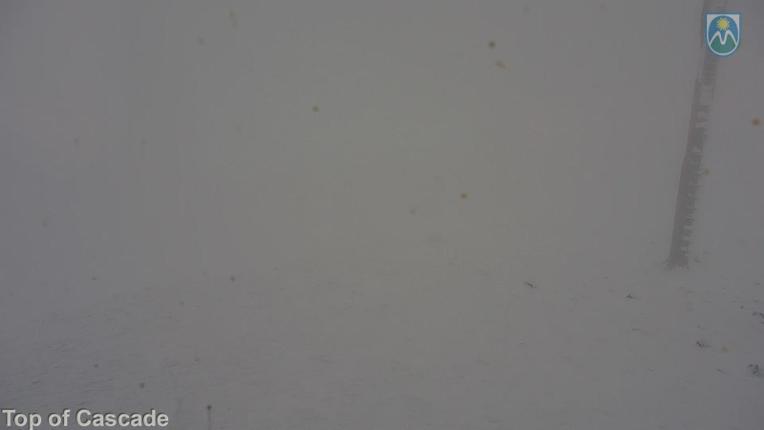 Webcam Mount Hood Meadows: Top of Cascade