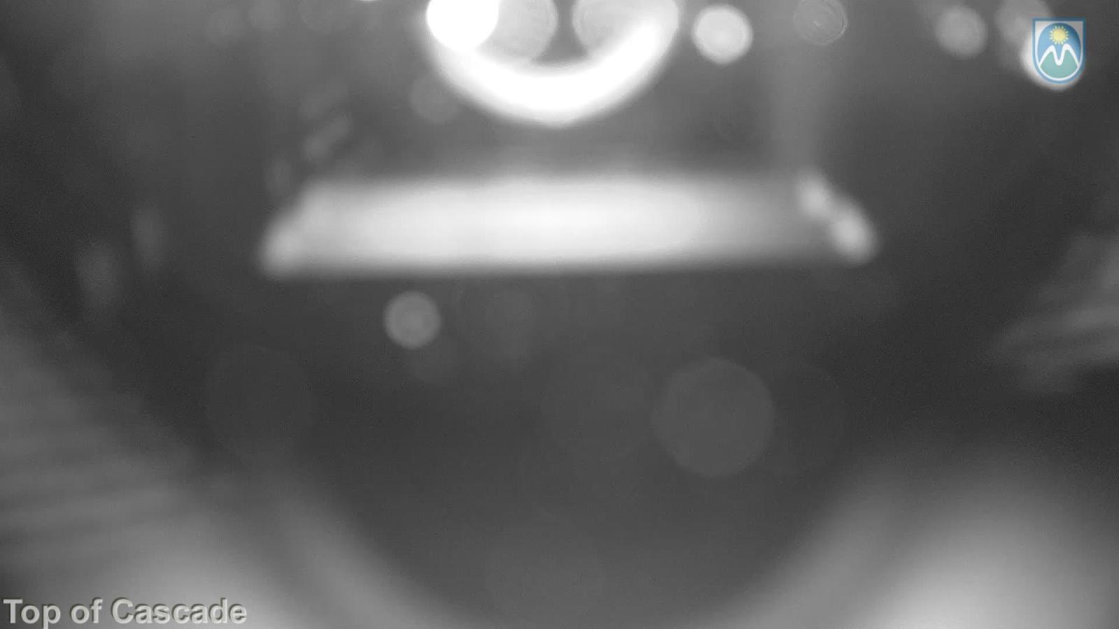 Webcam Mount Hood Meadows: Top of Cascade