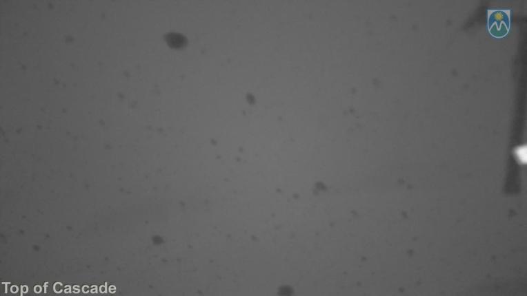 Webcam Mount Hood Meadows: Top of Cascade