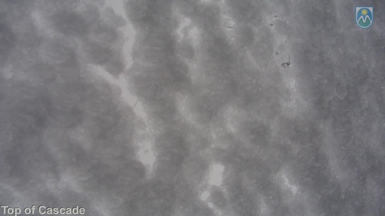 Webcam Mount Hood Meadows: Top of Cascade