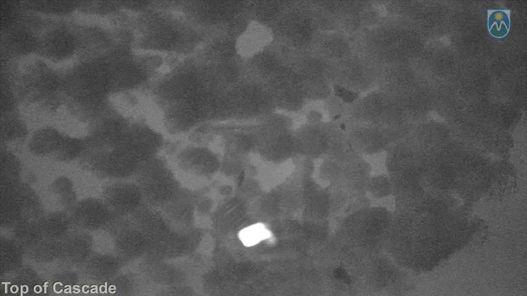 Webcam Mount Hood Meadows: Top of Cascade