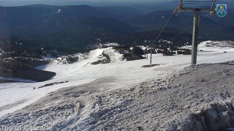 Webcam Mount Hood Meadows: Top of Cascade