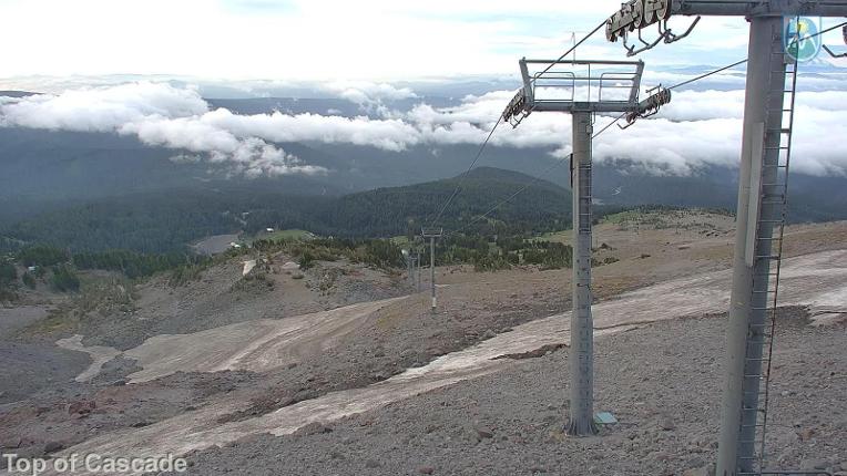 Webcam Mount Hood Meadows: Top of Cascade