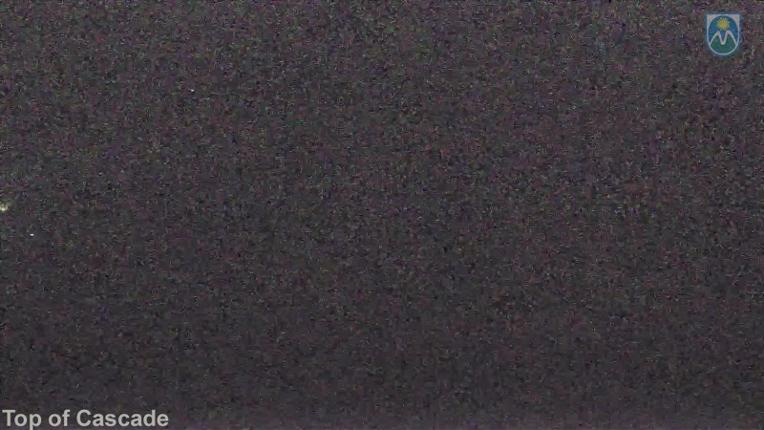 Webcam Mount Hood Meadows: Top of Cascade