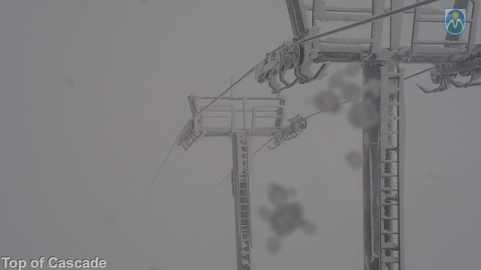 Webcam Mount Hood Meadows: Top of Cascade