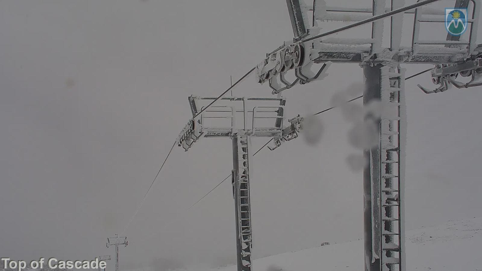 Webcam Mount Hood Meadows: Top of Cascade