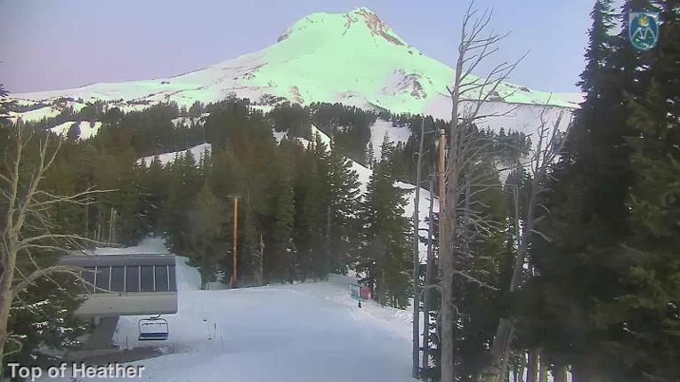 Webcam Mount Hood Meadows: Top of Heather