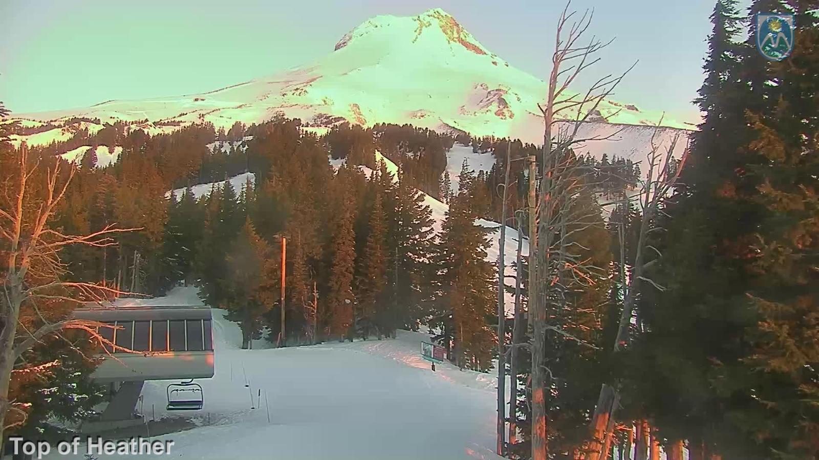 Webcam Mount Hood Meadows: Top of Heather