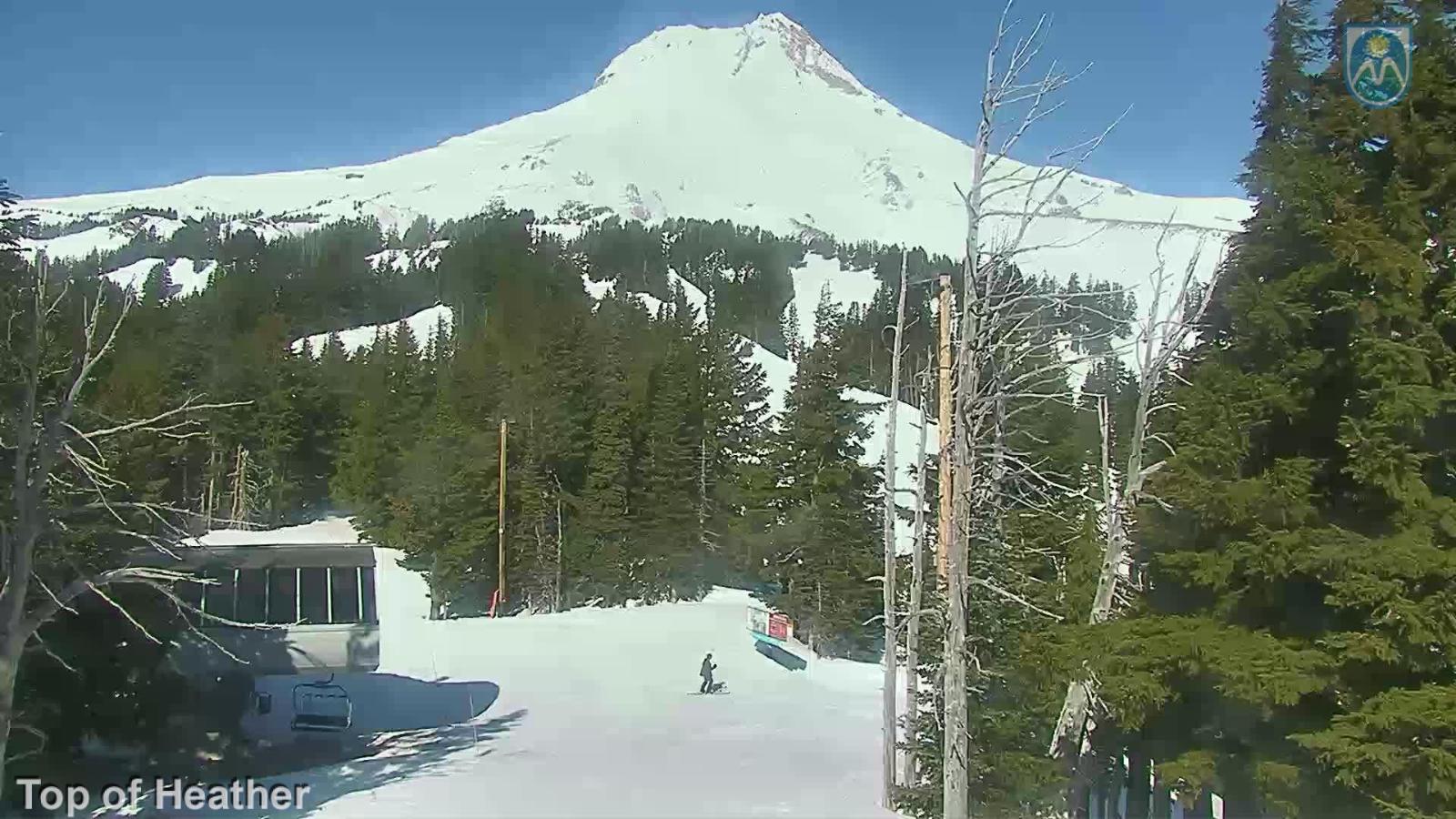 Webcam Mount Hood Meadows: Top of Heather