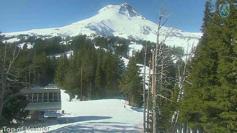 Webcam Mount Hood Meadows: Top of Heather