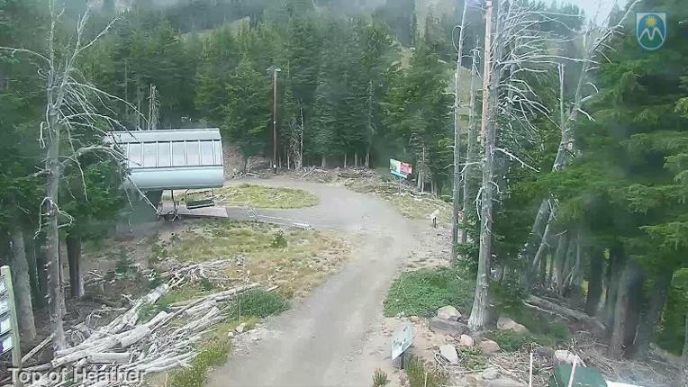 Webcam Mount Hood Meadows: Top of Heather