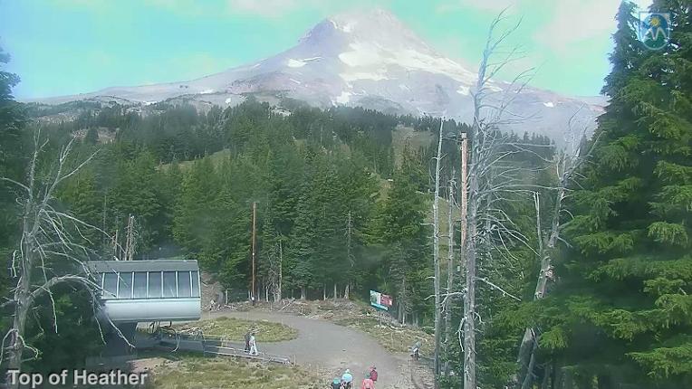 Webcam Mount Hood Meadows: Top of Heather