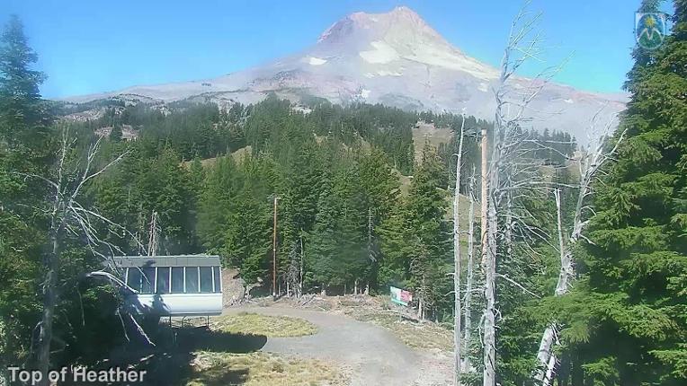 Webcam Mount Hood Meadows: Top of Heather