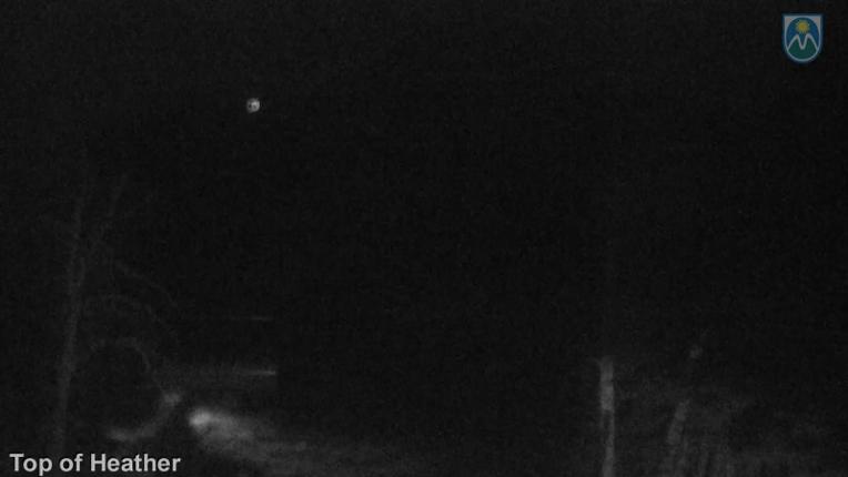 Webcam Mount Hood Meadows: Top of Heather