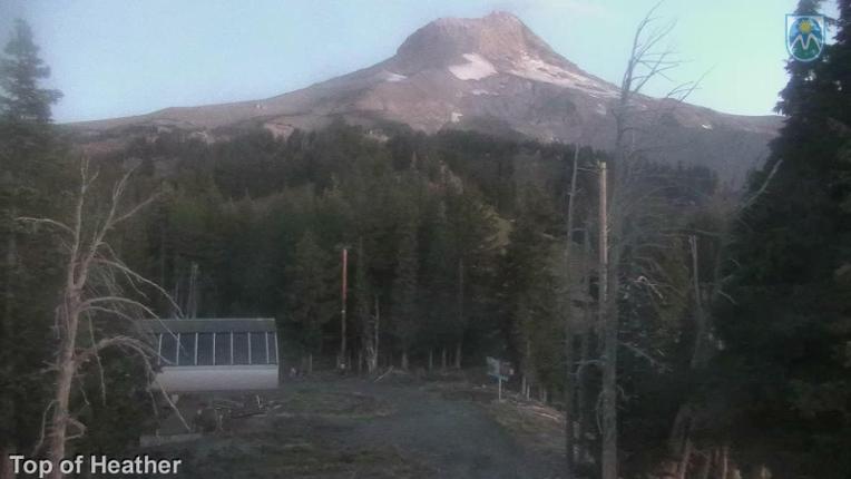 Webcam Mount Hood Meadows: Top of Heather