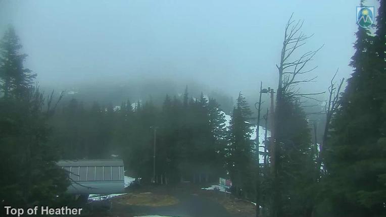 Webcam Mount Hood Meadows: Top of Heather