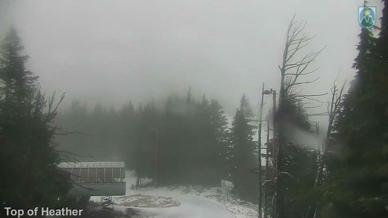Webcam Mount Hood Meadows: Top of Heather