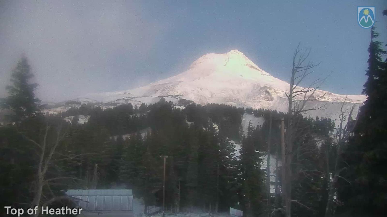 Webcam Mount Hood Meadows: Top of Heather