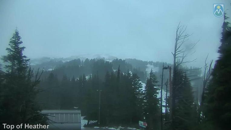 Webcam Mount Hood Meadows: Top of Heather