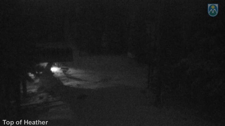 Webcam Mount Hood Meadows: Top of Heather