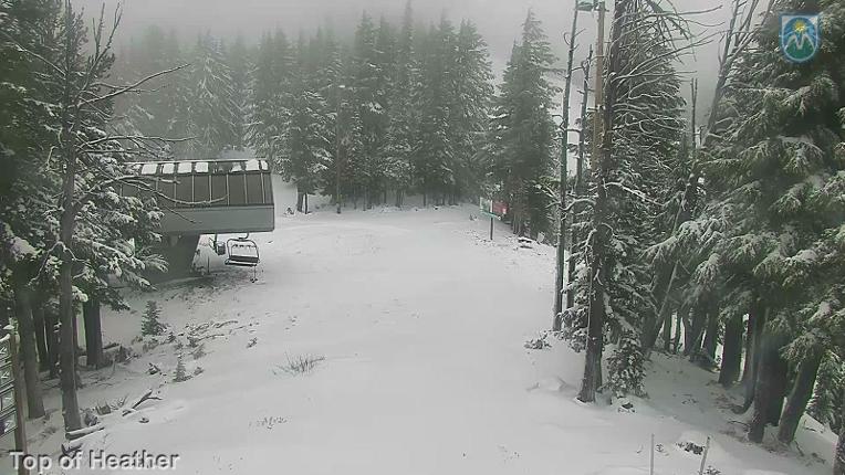 Webcam Mount Hood Meadows: Top of Heather