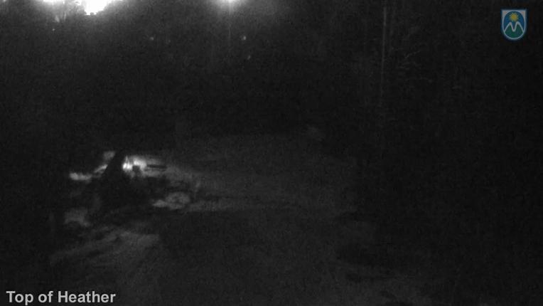 Webcam Mount Hood Meadows: Top of Heather