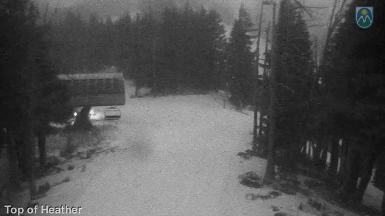 Webcam Mount Hood Meadows: Top of Heather