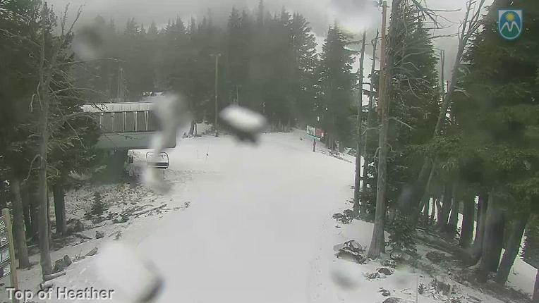 Webcam Mount Hood Meadows: Top of Heather